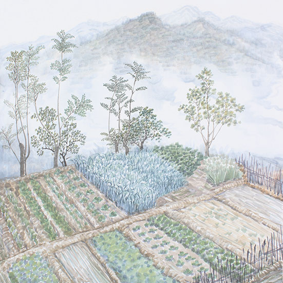 李翔  《自家田园》 68cmX68cm  2013年  纸本  2013年.jpg